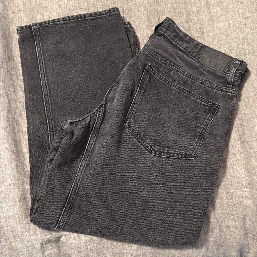 Madewell Darted Barrel Jean W30 - Olenda Wash